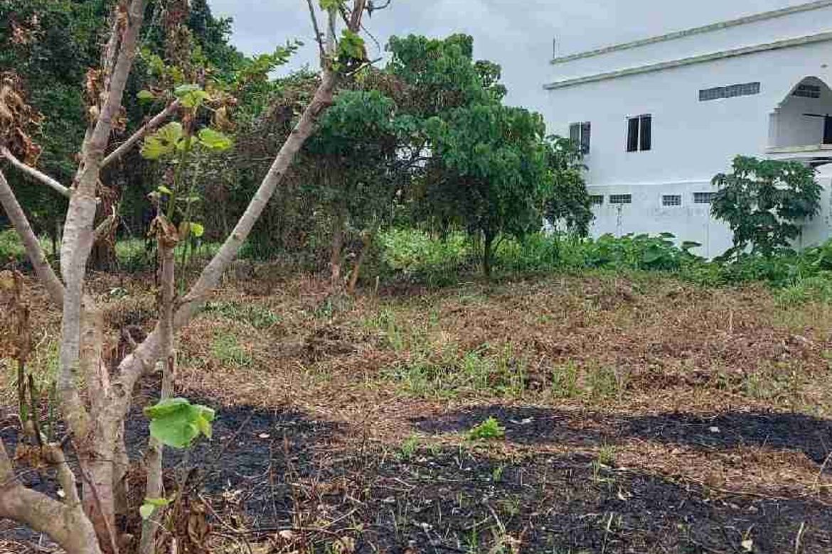 Land for Sale in Don Pedro Rodriguez, Bogo, Cebu