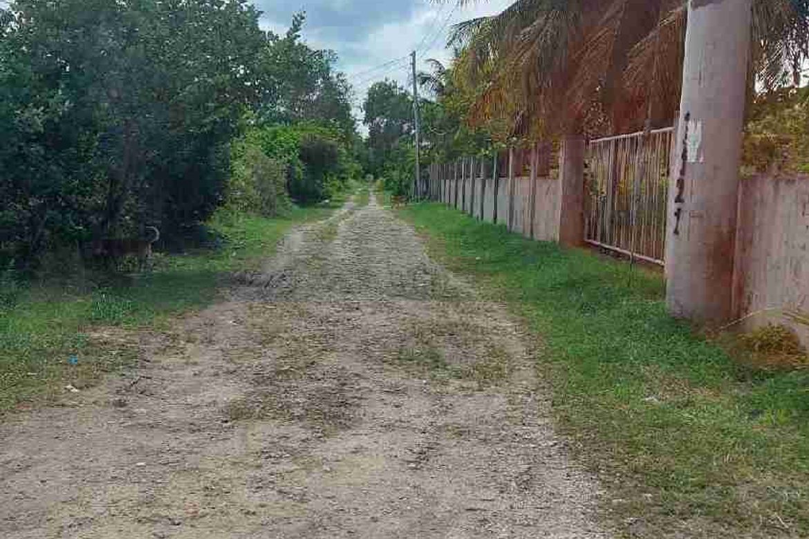 Land for Sale in Don Pedro Rodriguez, Bogo, Cebu – photo 3