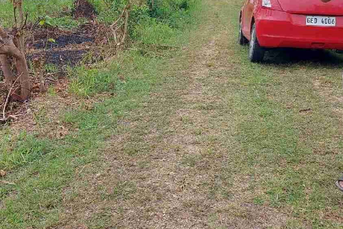 Land for Sale in Don Pedro Rodriguez, Bogo, Cebu – photo 4