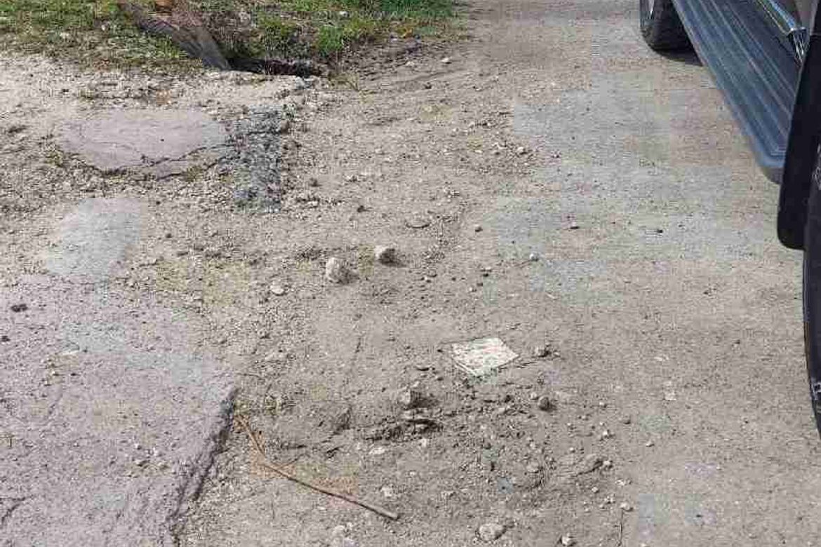 Land for Sale in Don Pedro Rodriguez, Bogo, Cebu – photo 5