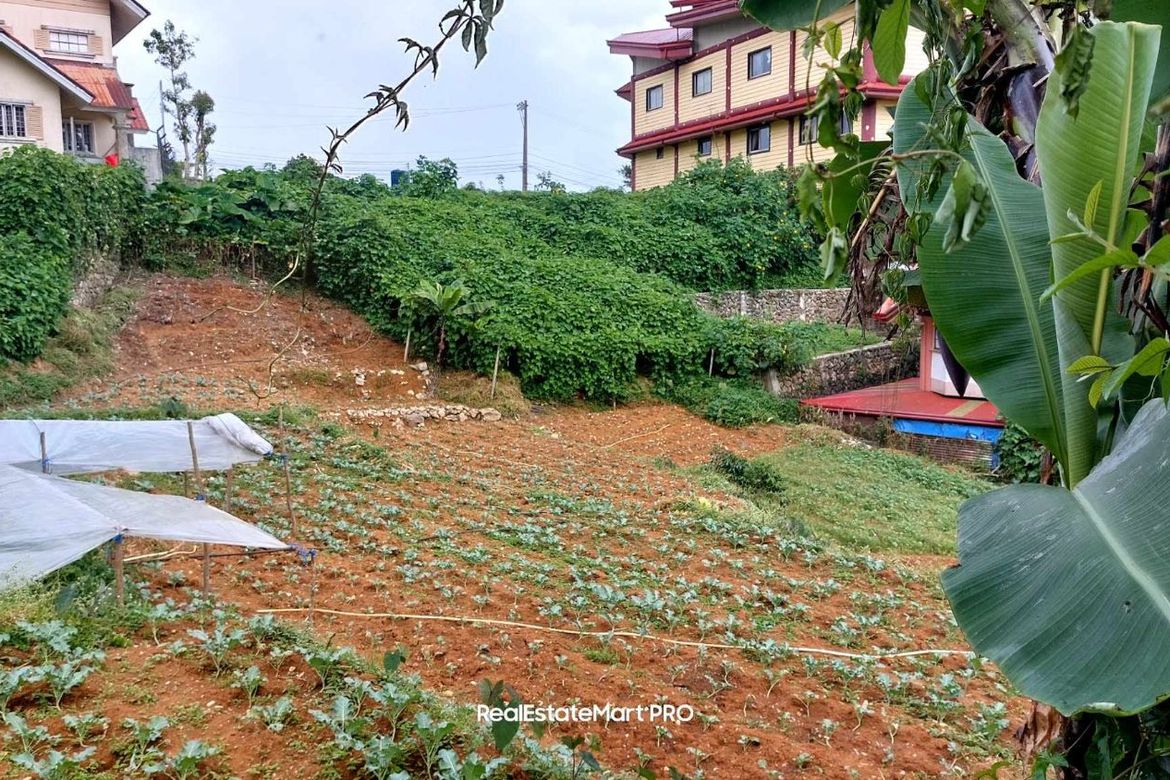 Land for Sale in Dontogan, Baguio, Benguet – photo 5