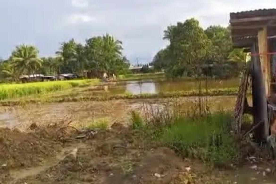 Land for Sale in Doongan, Butuan, Agusan del Norte – photo 2