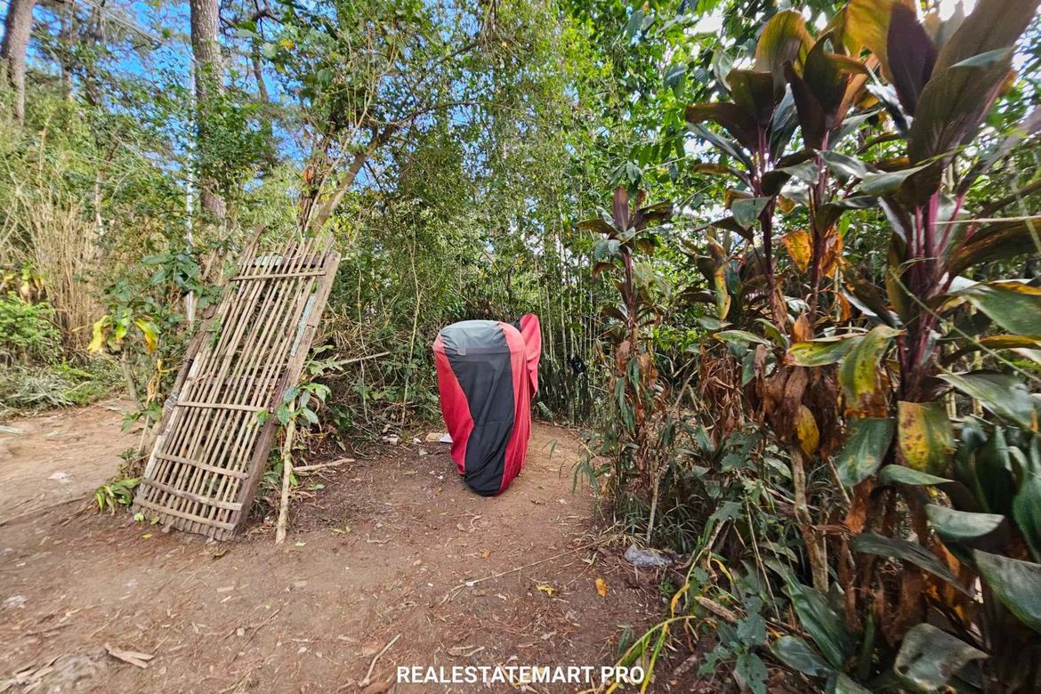 Land for Sale in Dps Area, Baguio, Benguet – photo 3