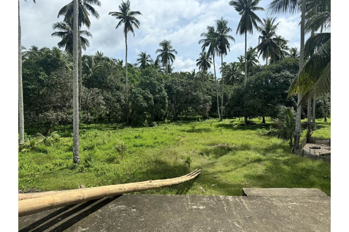 Land for Sale in Dr. Jose Rizal, Katipunan, Zamboanga del Norte – photo 2
