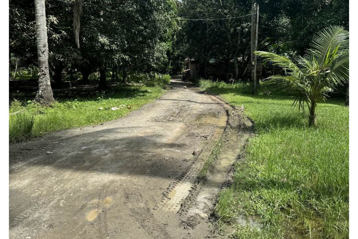 Land for Sale in Dr. Jose Rizal, Katipunan, Zamboanga del Norte – photo 5