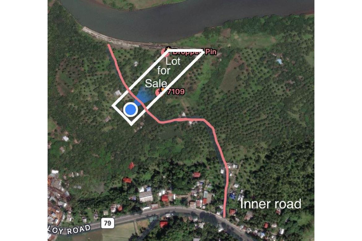 Land for Sale in Dr. Jose Rizal, Katipunan, Zamboanga del Norte – photo 7