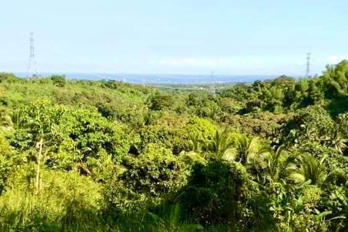 Land for Sale in Duale, Limay, Bataan
