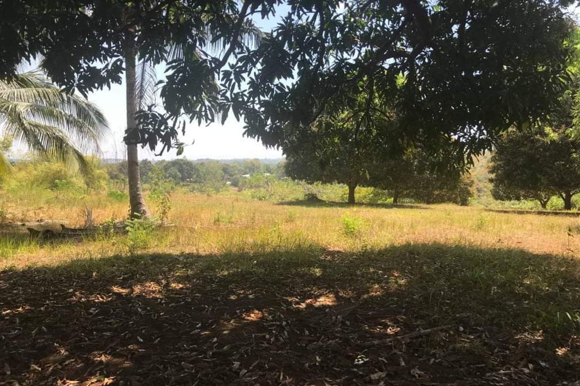Land for Sale in Duale, Limay, Bataan – photo 4