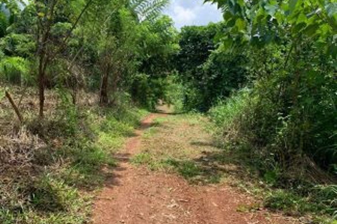Land for Sale in Duale, Limay, Bataan – photo 6
