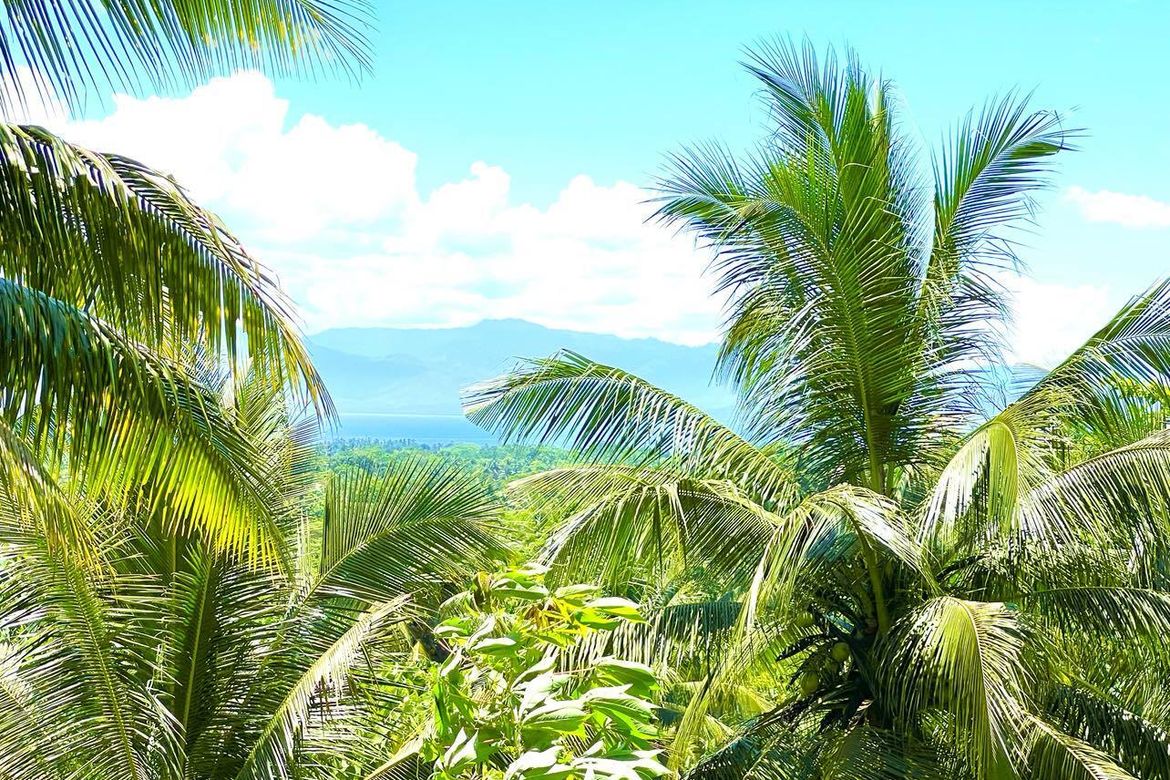 Land for Sale in Duka, Medina, Misamis Oriental