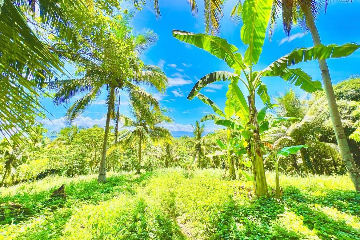 Land for Sale in Duka, Medina, Misamis Oriental – photo 2