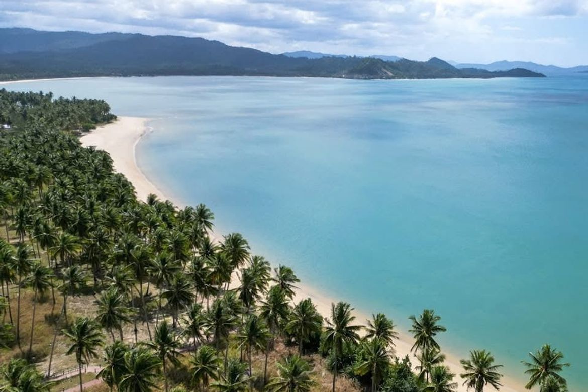 Land for Sale in Dumarao, Roxas, Palawan – photo 2
