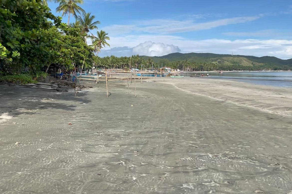 Land for Sale in Dumatad, Tangalan, Aklan – photo 2