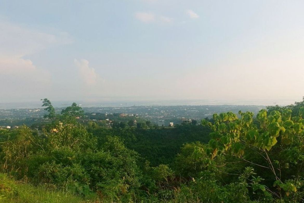 Land for Sale in Dumlog, Talisay, Cebu – photo 2