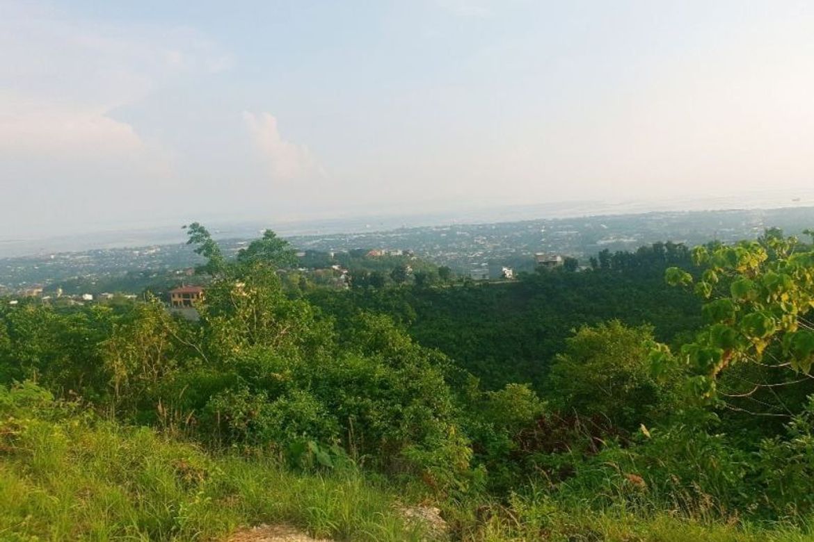 Land for Sale in Dumlog, Talisay, Cebu – photo 3