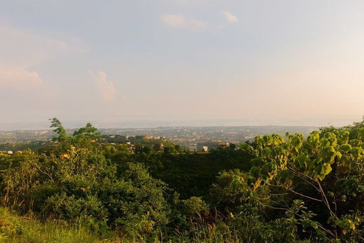 Land for Sale in Dumlog, Talisay, Cebu – photo 4