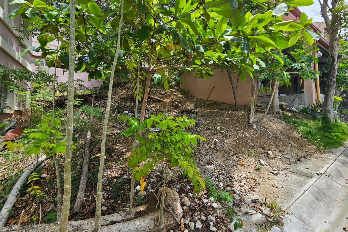 Land for Sale in Dumlog, Talisay, Cebu