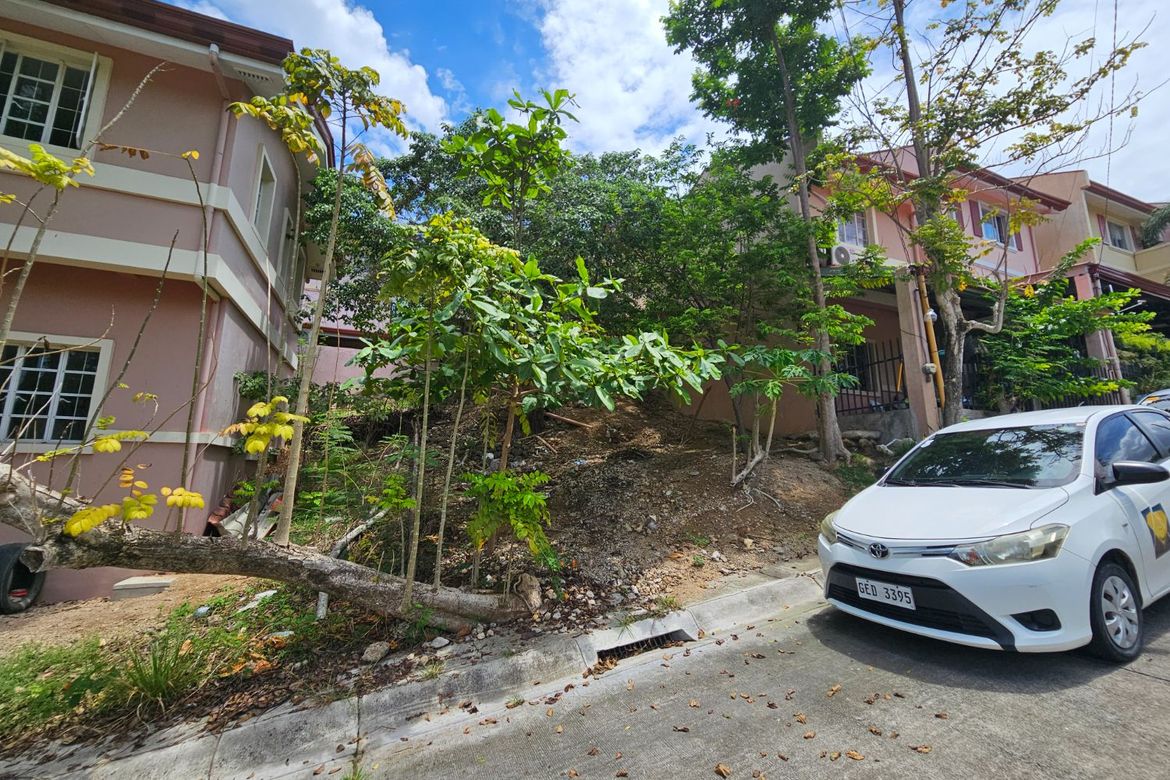 Land for Sale in Dumlog, Talisay, Cebu – photo 2