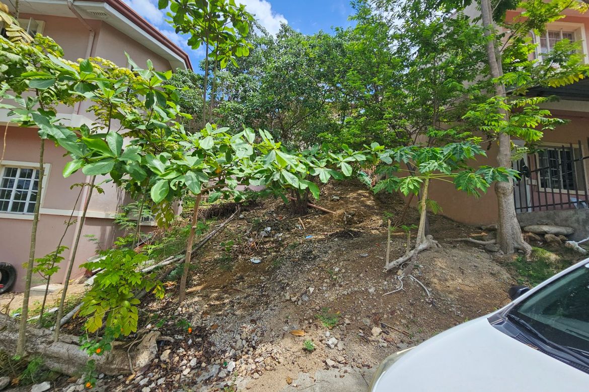 Land for Sale in Dumlog, Talisay, Cebu – photo 4