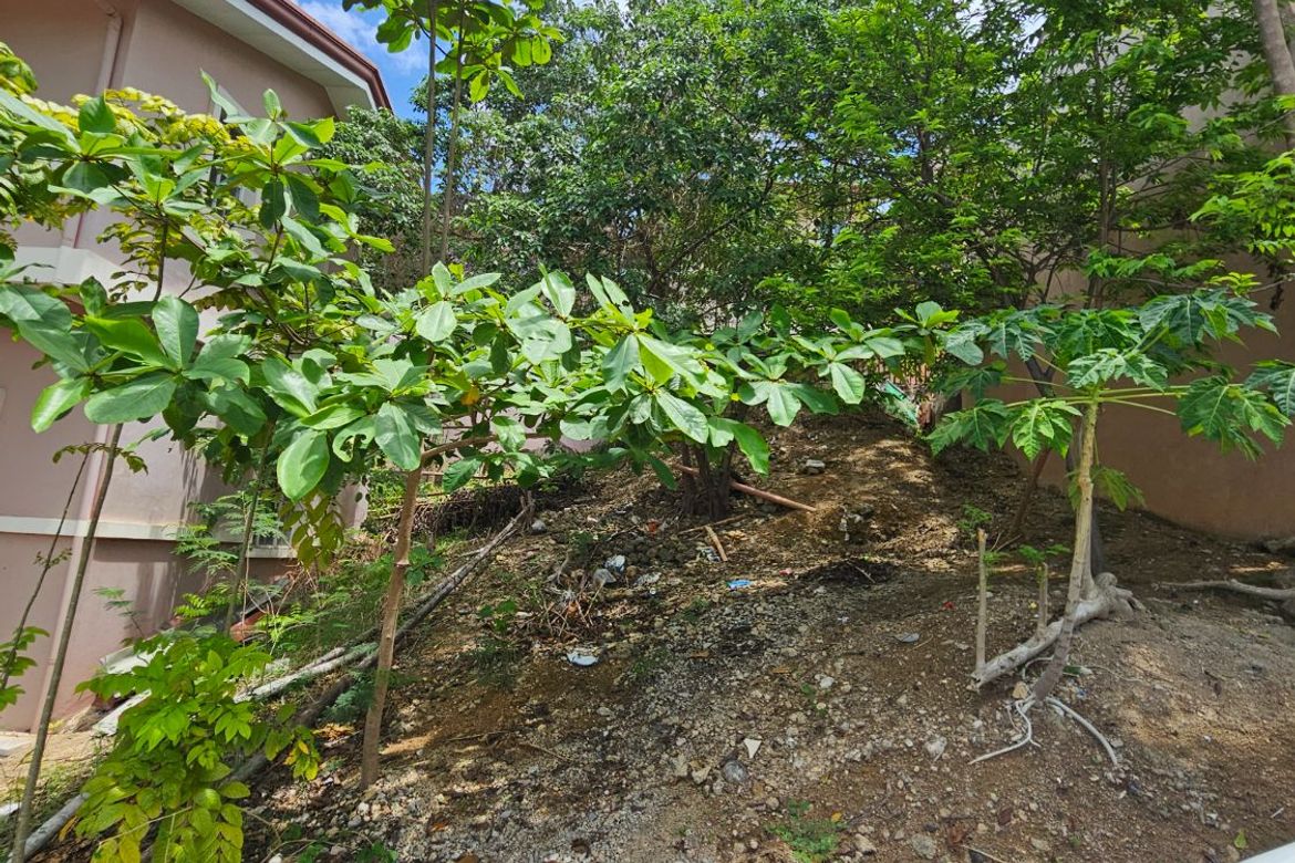 Land for Sale in Dumlog, Talisay, Cebu – photo 5