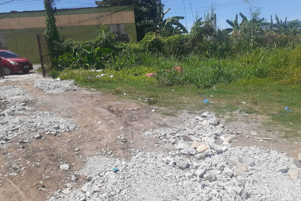 Land for Sale in Dumlog, Talisay, Cebu – photo 2