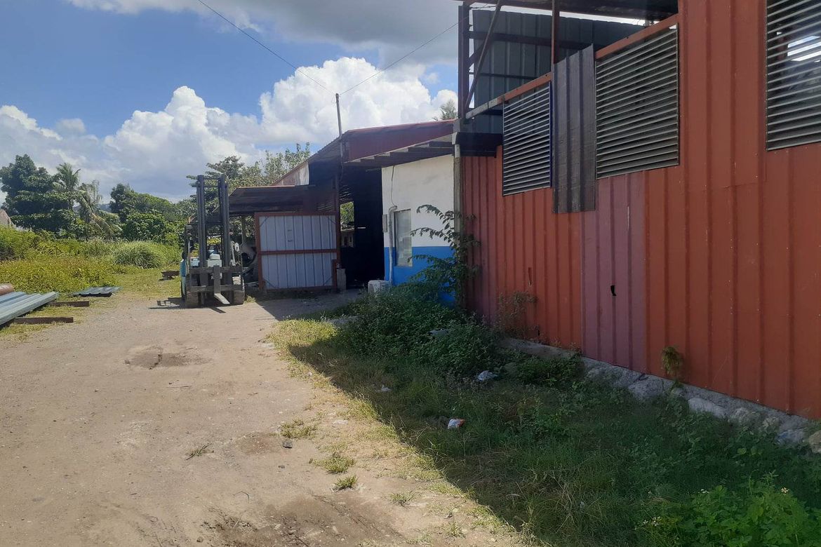 Land for Sale in Dumlog, Talisay, Cebu – photo 6