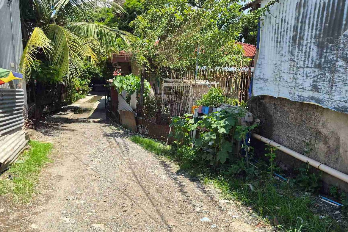 Land for Sale in Dumlog, Talisay, Cebu
