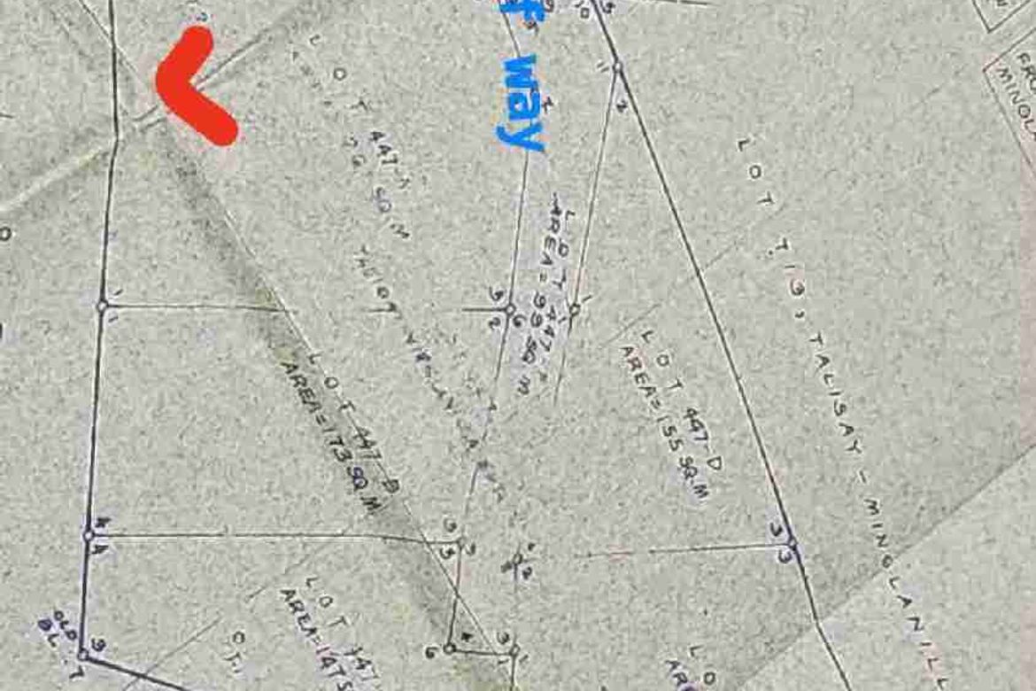 Land for Sale in Dumlog, Talisay, Cebu – photo 4