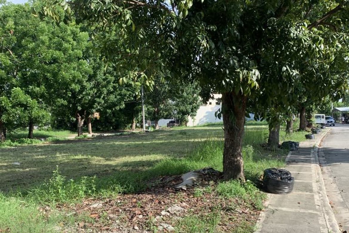 Land for Sale in Duquit, Mabalacat, Pampanga