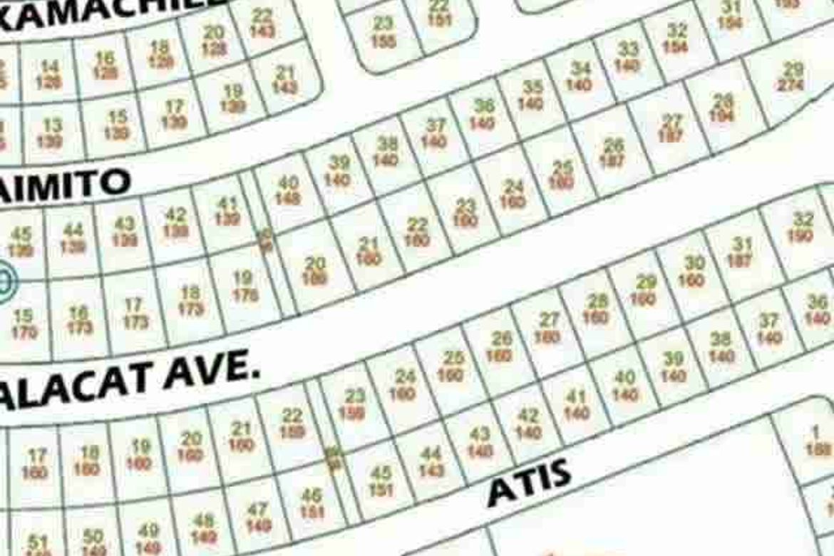 Land for Sale in Duquit, Mabalacat, Pampanga – photo 5