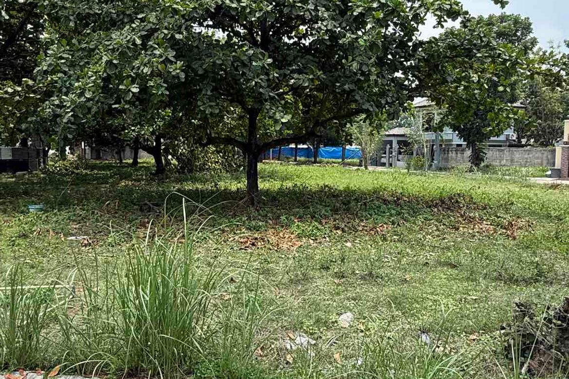 Land for Sale in Duquit, Mabalacat, Pampanga – photo 2