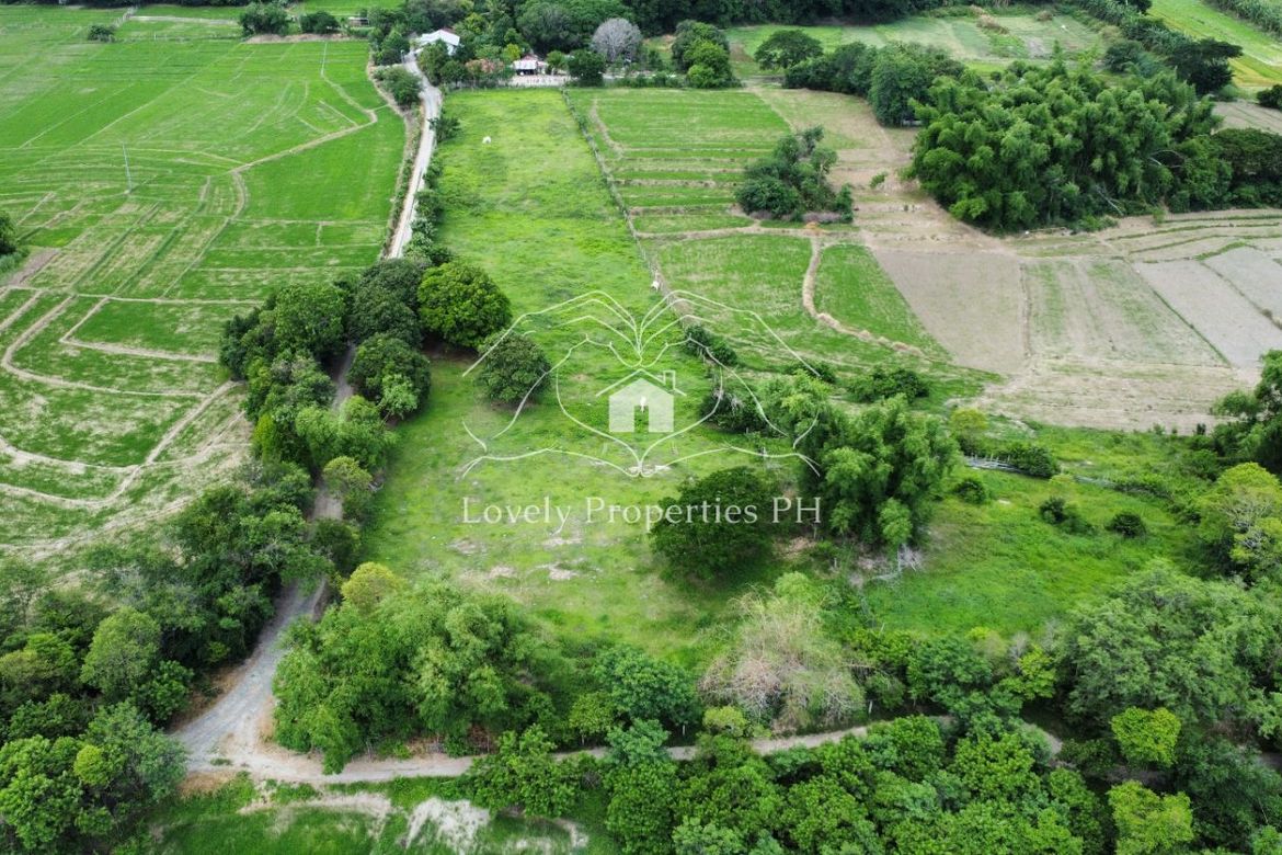 Land for Sale in Dusoc, Bayambang, Pangasinan