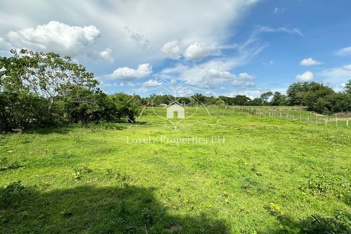 Land for Sale in Dusoc, Bayambang, Pangasinan – photo 8