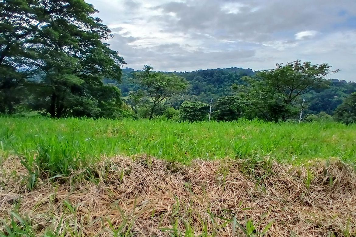Land for Sale in Eastland Heights, Antipolo, Rizal – photo 4