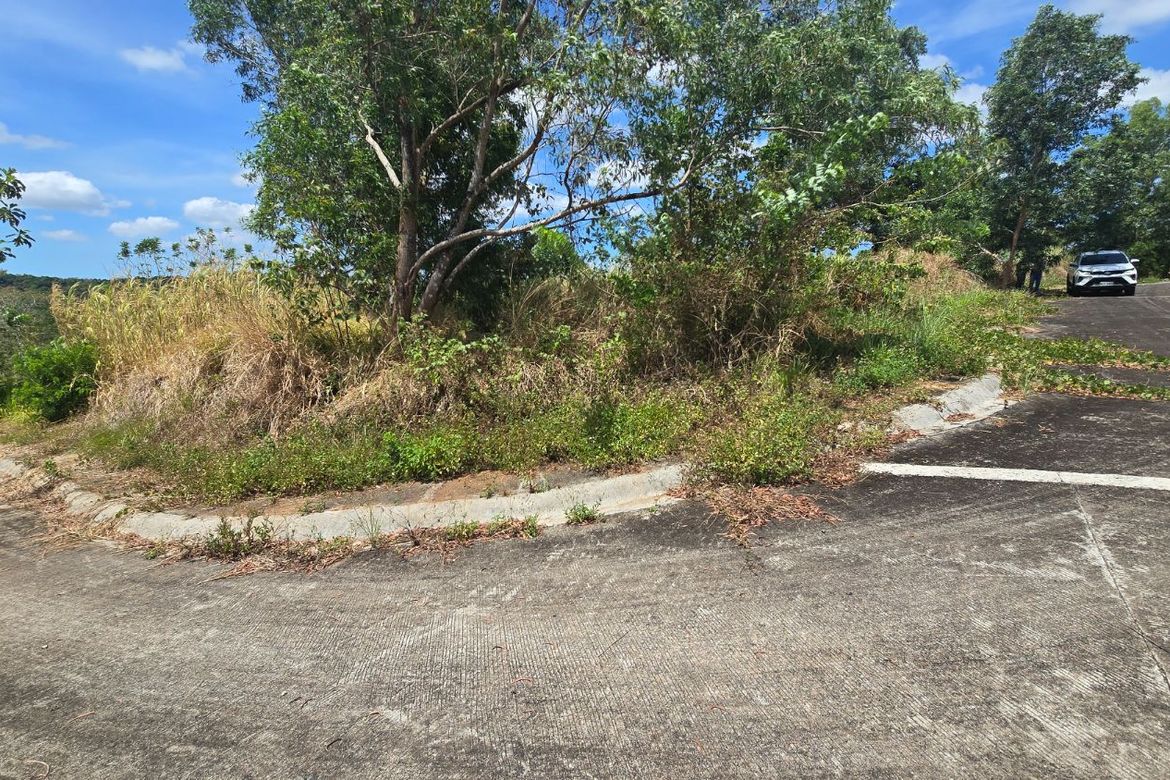 Land for Sale in Eastland Heights, Bagong Nayon, Antipolo, Rizal – photo 2