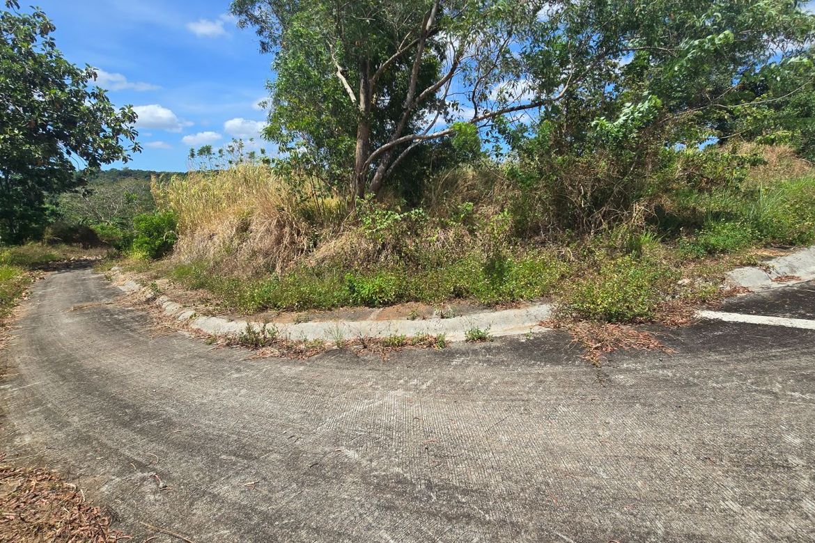 Land for Sale in Eastland Heights, Bagong Nayon, Antipolo, Rizal – photo 3