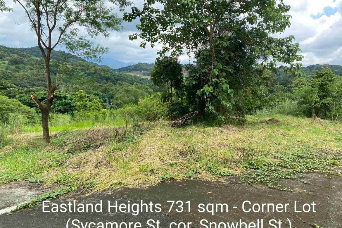 Land for Sale in Eastland Heights, Bagong Nayon, Antipolo, Rizal
