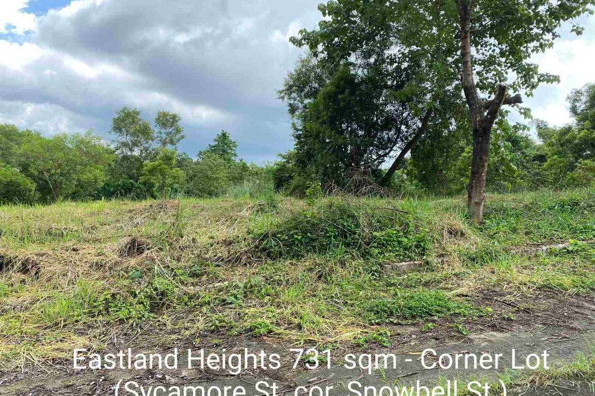 Land for Sale in Eastland Heights, Bagong Nayon, Antipolo, Rizal – photo 3