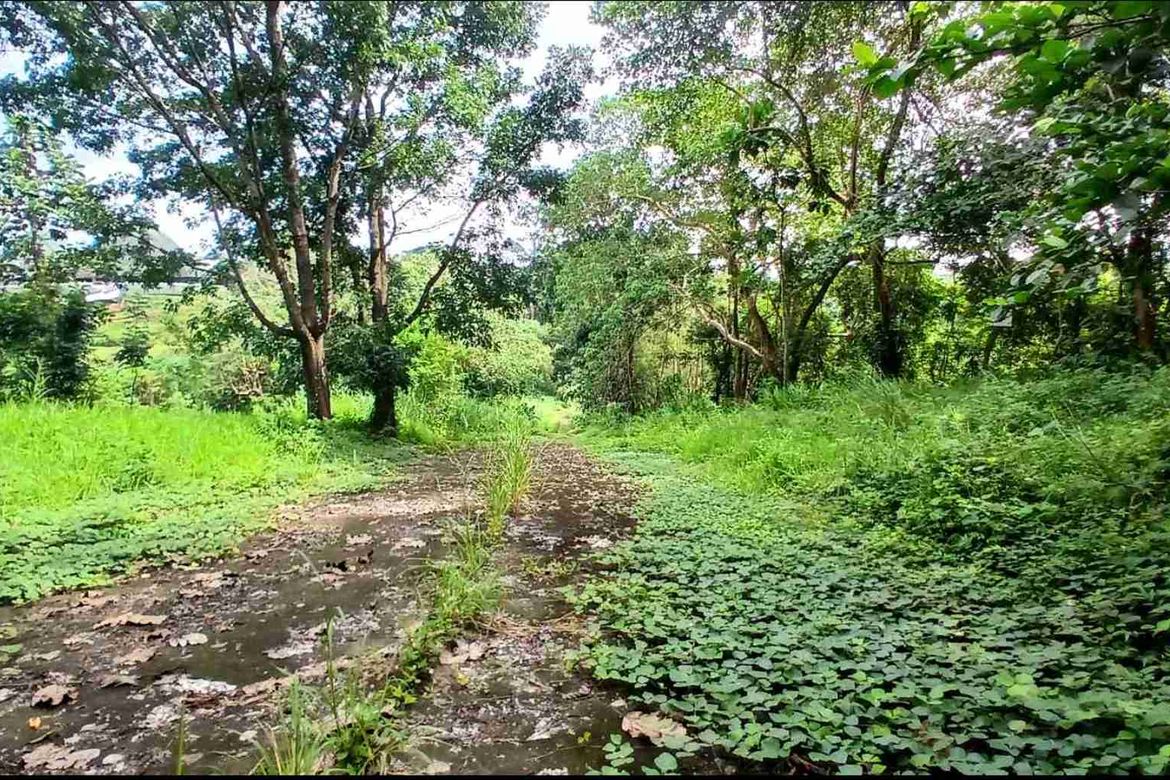 Land for Sale in Eastland Heights, Bagong Nayon, Antipolo, Rizal – photo 3