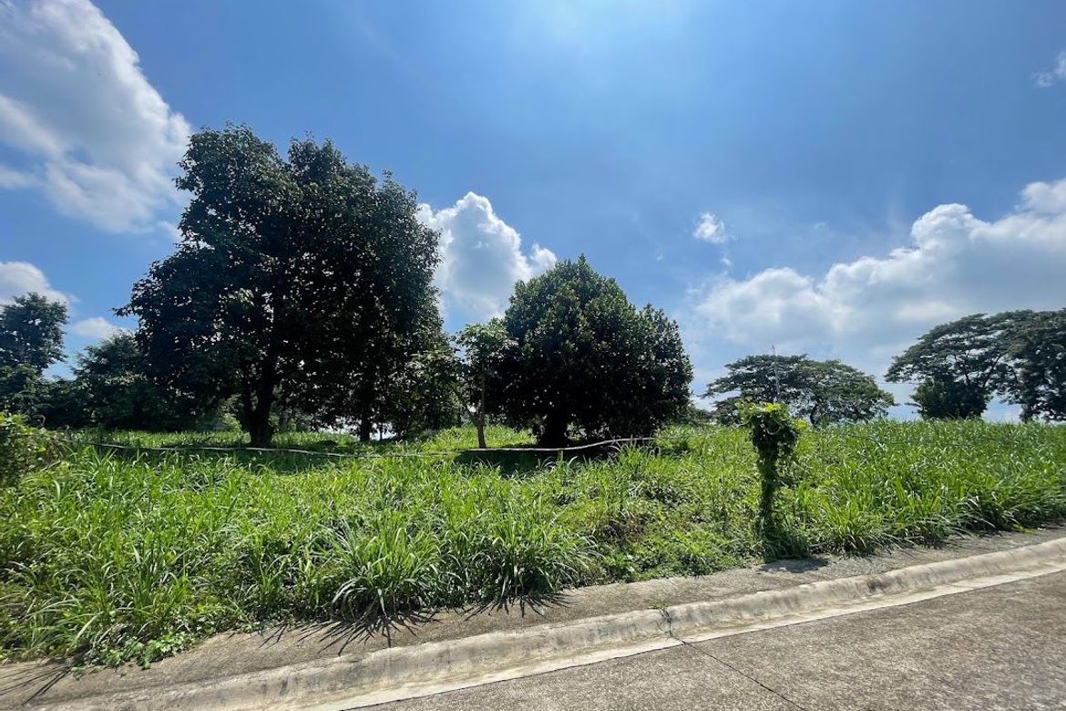 Land for Sale in Eastland Heights, Bagong Nayon, Antipolo, Rizal – photo 2