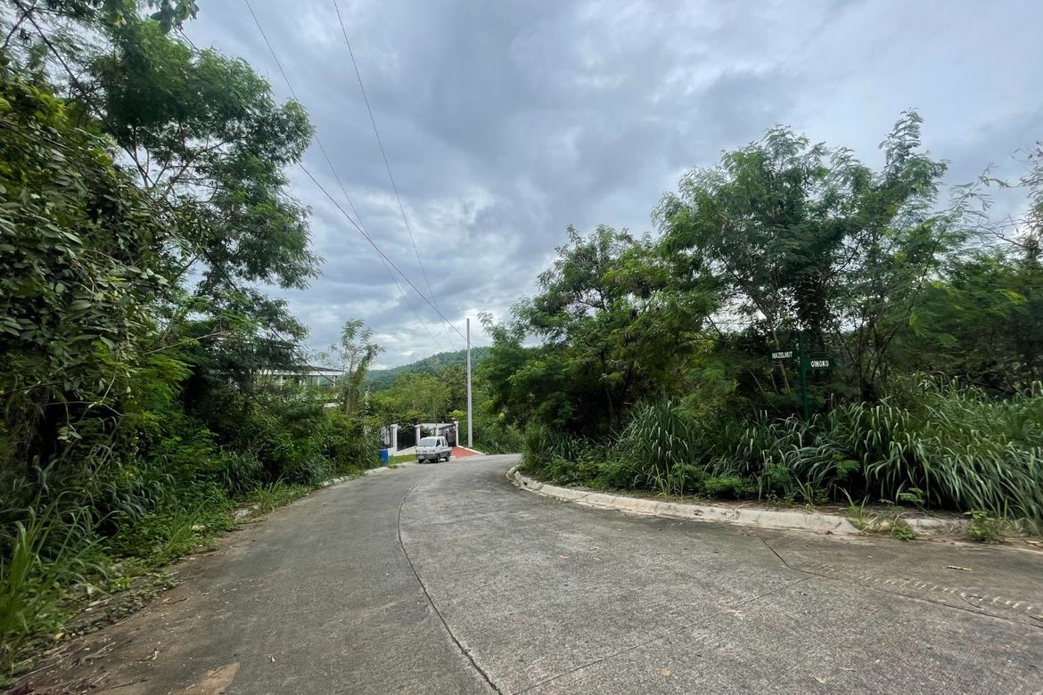 Land for Sale in Eastland Heights, Bagong Nayon, Antipolo, Rizal – photo 8