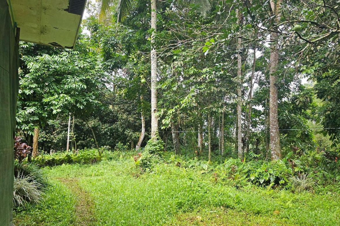 Land for Sale in Eden, Davao City, Davao del Sur – photo 6
