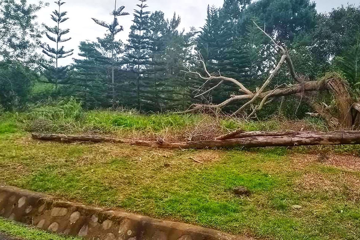 Land for Sale in Eden, Davao City, Davao del Sur – photo 2
