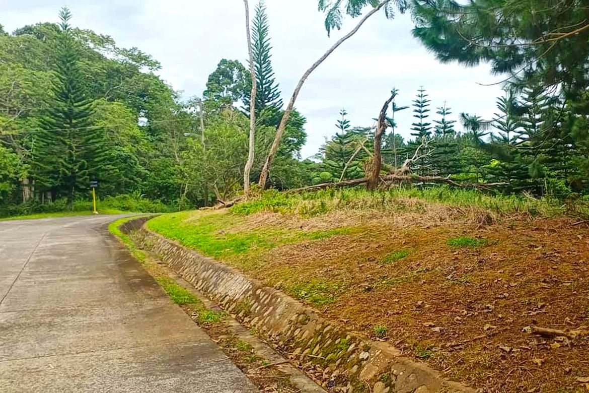 Land for Sale in Eden, Davao City, Davao del Sur – photo 3