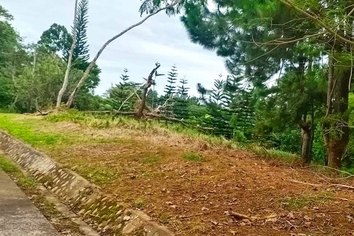 Land for Sale in Eden, Davao City, Davao del Sur – photo 6
