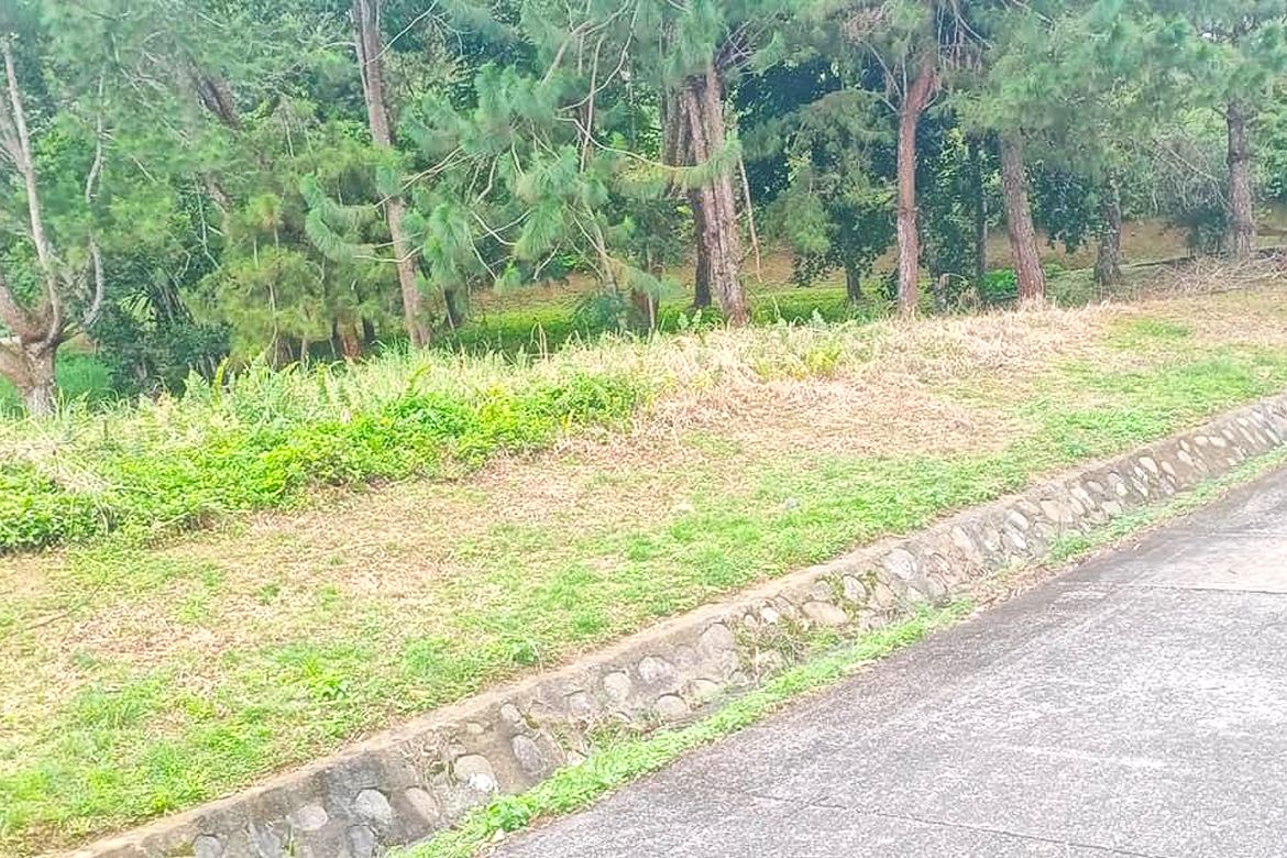 Land for Sale in Eden, Davao City, Davao del Sur – photo 7