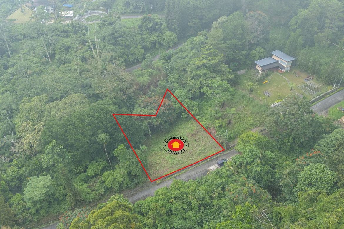 Land for Sale in Eden, Davao City, Davao del Sur