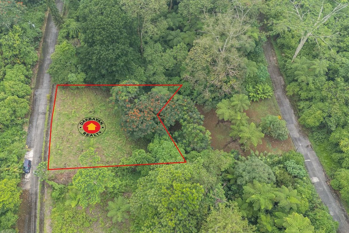 Land for Sale in Eden, Davao City, Davao del Sur – photo 4