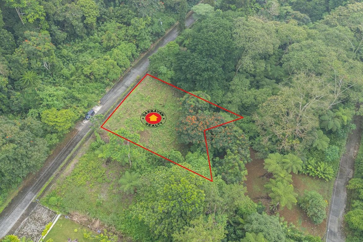 Land for Sale in Eden, Davao City, Davao del Sur – photo 5