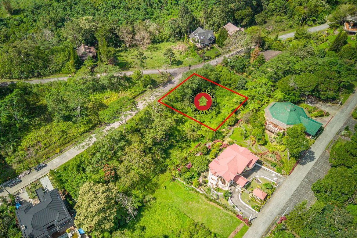 Land for Sale in Eden, Davao City, Davao del Sur – photo 4
